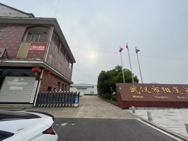 房东直租阳逻经济开发区厂房仓库10000平优价出租