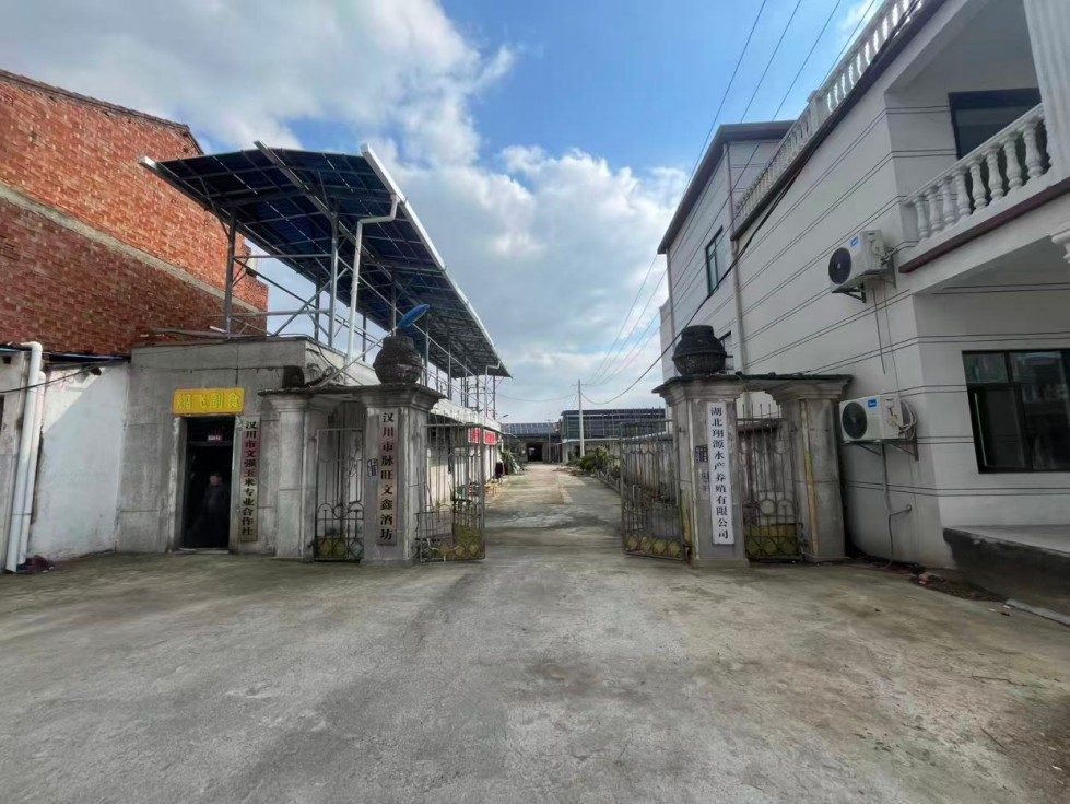 房东直租汉川脉旺镇独门独院1300平钢构厂房 优价出租